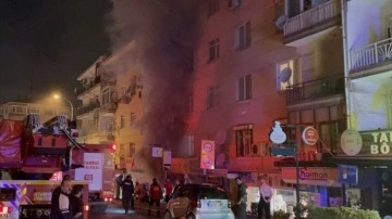 İstanbul'da kahreden yangın. Çok sayıda muhabbet kuşu dumandan etkilenerek hayatını kaybetti