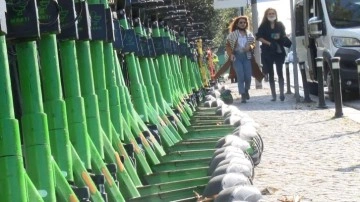 İstanbul'un scooter planı açıklandı: Hız, park, eğitim!