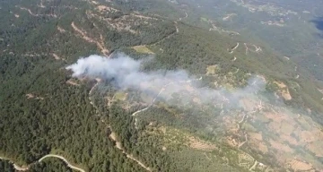 İzmir’de ormanlık alanda yangın kontrol altında
