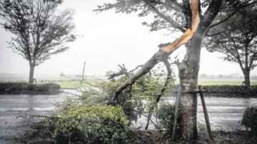 Japonya’da tayfun dehşeti