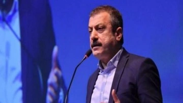 Kavcıoğlu'ndan kritik kredi açıklaması: Tedbirlerin dışındadır
