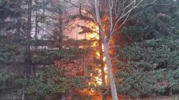 Kışın ortasında orman yangını. İstanbul'daki yangın kontrol altına alındı