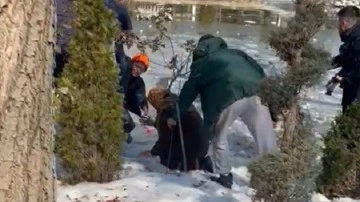 Malatya'da buzlu göletten oyuncağını almak isterken düşen depremzede çocuğu polis kurtardı