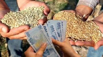 On binlerce çiftçiye teşvik müjdesi. Cumhurbaşkanı Erdoğan Buğday ve arpa fiyatlarını açıkladı