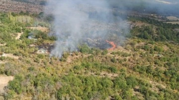 Saatlerdir alevlerle mücadele ediliyordu. Karabük'te ormanlık alanda çıkan yangın söndürüldü