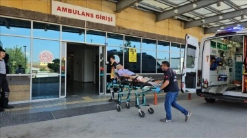 Sağlık Bakanı Koca, kurban kesimi sırasında 16 bin kişinin yaralandığını açıkladı