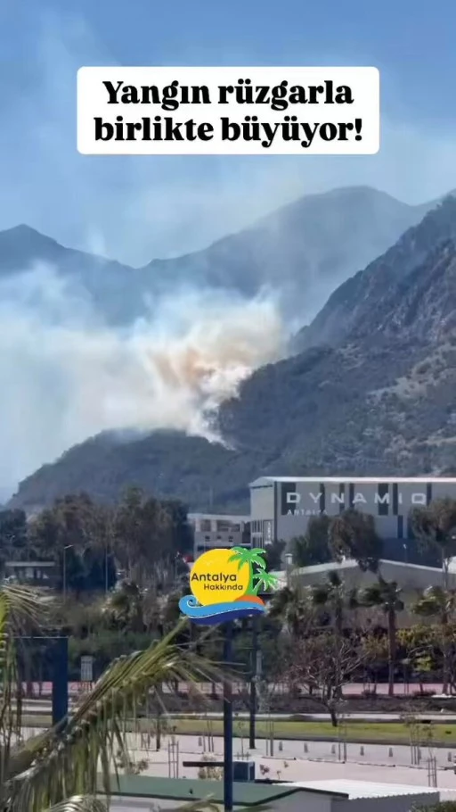 Antralya Sarısu teleferik bölgesinde yangın 