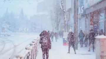 Son Dakika... Ardahan'da eğitime kar engeli. Okullar 1 gün tatil ilan edildi