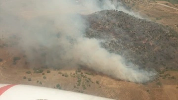 Tarladaki yangın ormana sıçradı: İzmir'de korkutan orman yangını!