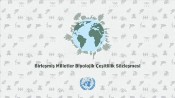 Türkiye, BM Biyolojik Çeşitlilik Sözleşmesi'nin 2024-26 dönem başkanlığını yürütecek