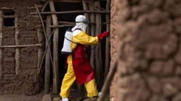 Uganda'da ebola salgını: Vaka sayısı 75'e yükseldi