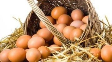 Yumurta fiyatları uçuşa geçti: Rekor seviyeye ulaştı