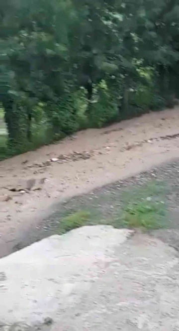 Zonguldak’ta kuvvetli yağışta yolları ve işyerini su bastı
